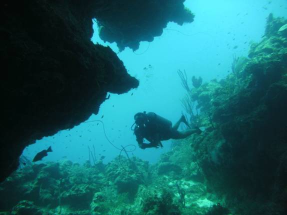 Formações de coral em Round Rock, em Grand Cayman, nas Ilhas Caiman